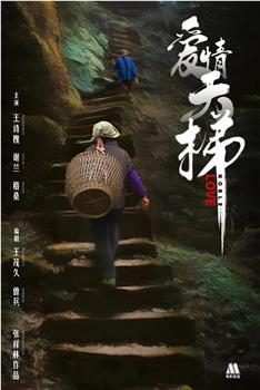 爱情天梯观看