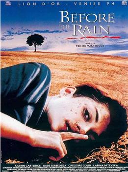暴雨将至观看