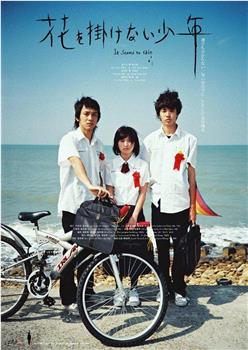 少年不戴花观看