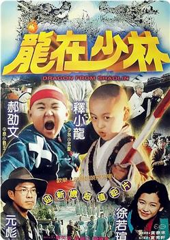 龙在少林观看