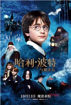 哈利·波特与魔法石观看