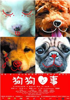 狗狗心事观看