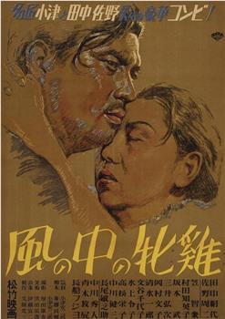 风中的母鸡观看