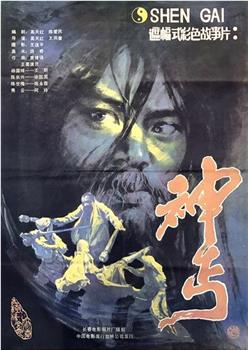 神丐观看