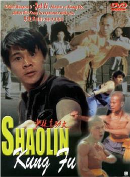 少林真功夫观看