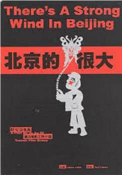 北京的风很大观看
