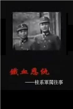 铁血恩仇：桂系军阀往事观看