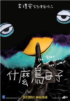什么鸟日子观看