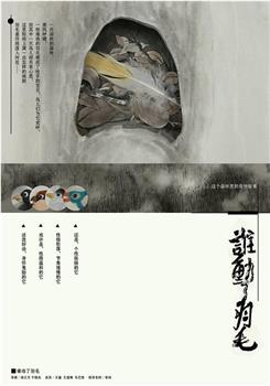 谁动了羽毛观看