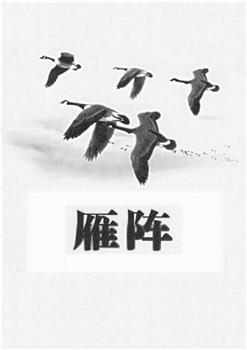 雁阵观看