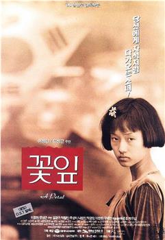 花瓣观看