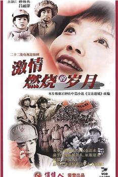 激情燃烧的岁月观看