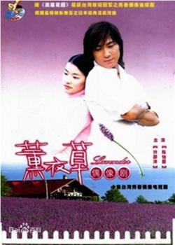 薰衣草观看