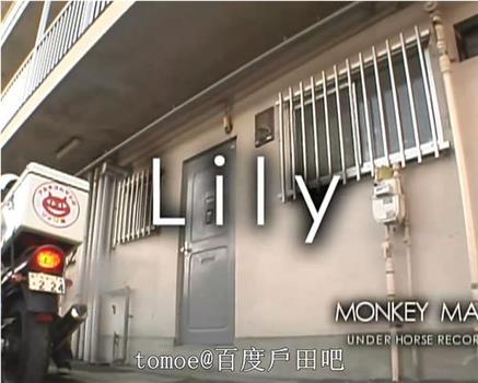 Lily观看