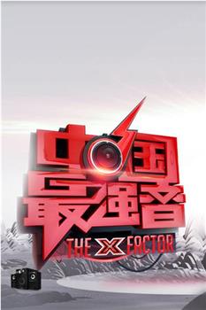 中国最强音观看