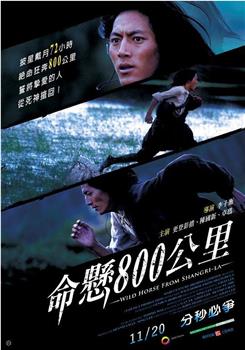 命悬800公里观看