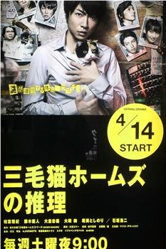 三花猫福尔摩斯的推理观看