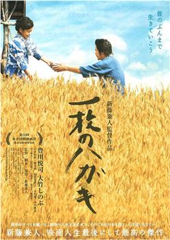 一封明信片观看