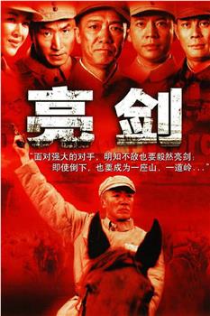 亮剑观看