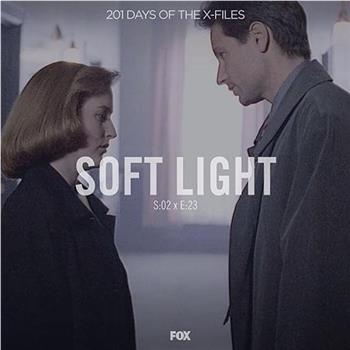 "The X Files"  Season 2, Episode 23: Soft Light观看