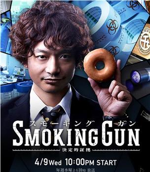 Smoking Gun 决定性证据观看