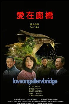 爱在廊桥观看