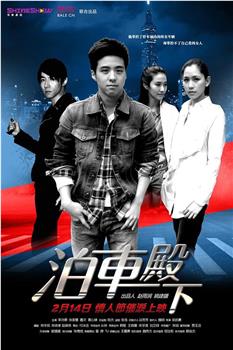 泊车殿下观看