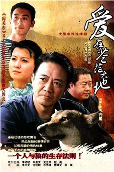 爱在苍茫大地观看