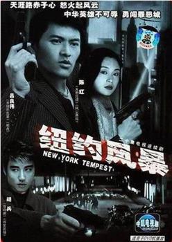 纽约风暴观看