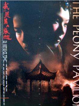 我的美丽与哀愁观看