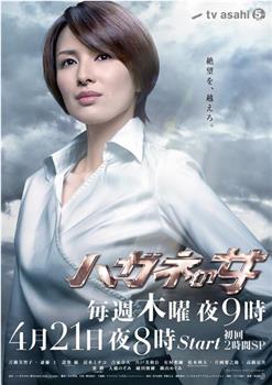 钢之女观看