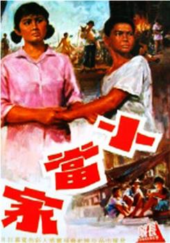 小当家观看