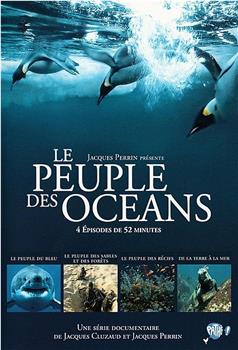 海洋王国观看