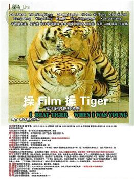 我年轻时也打老虎观看