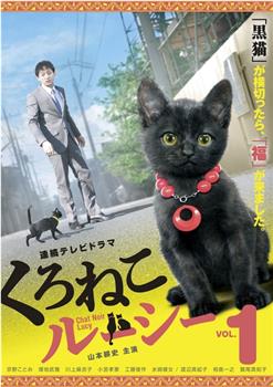 黑猫露西观看