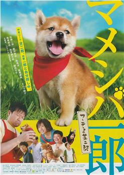 电影 豆柴一郎 流浪的芝二郎篇观看