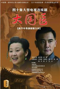 大国医观看