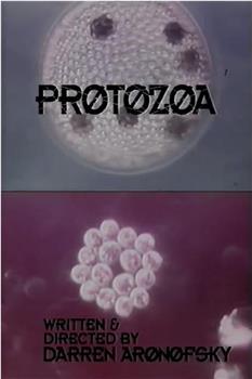 Protozoa观看