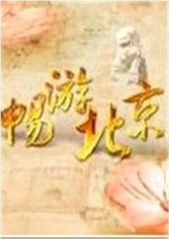 畅游北京观看