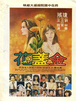 金盏花观看