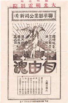 自由魂观看