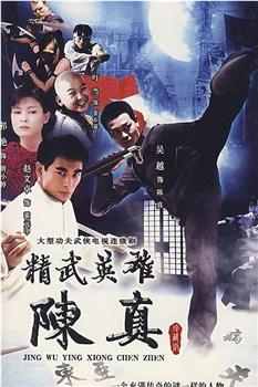 精武英雄陈真观看