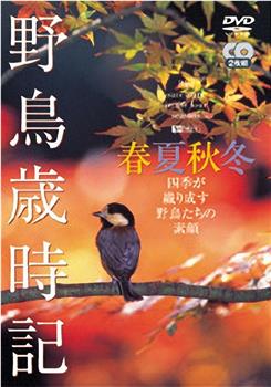 野鳥歲時記-春夏秋冬观看