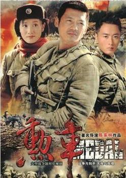 勋章观看
