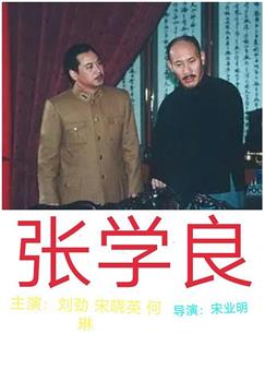 张学良观看
