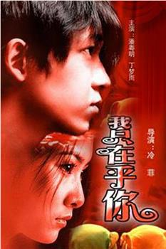 我只在乎你观看