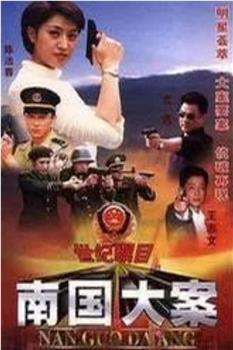 南国大案观看