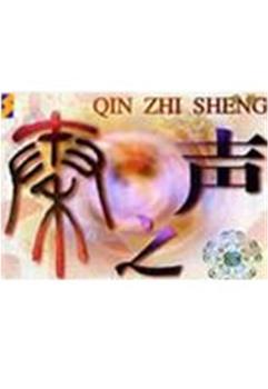 秦之声观看
