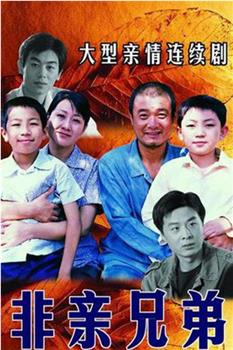 非亲兄弟观看