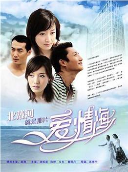 爱情海滨观看
